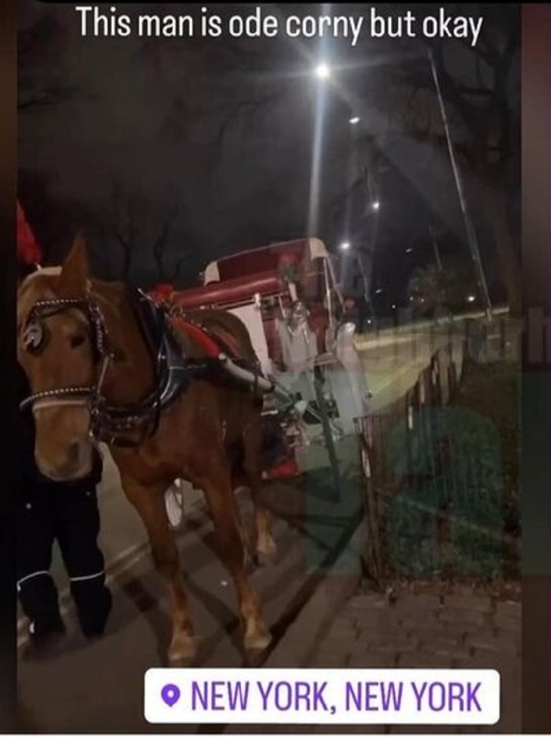 Woman leaves date because man brought horse and carriage
