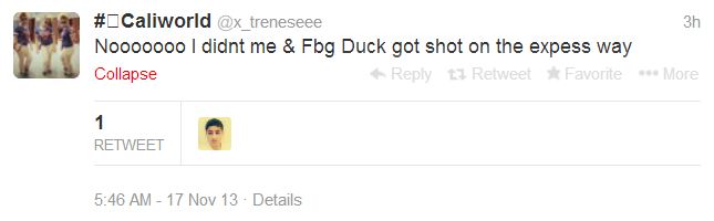 Duck shooting tweet