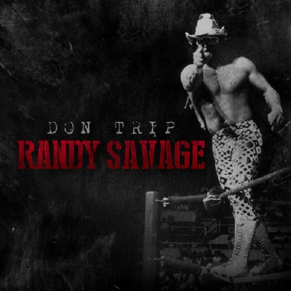 Randy Savage cover