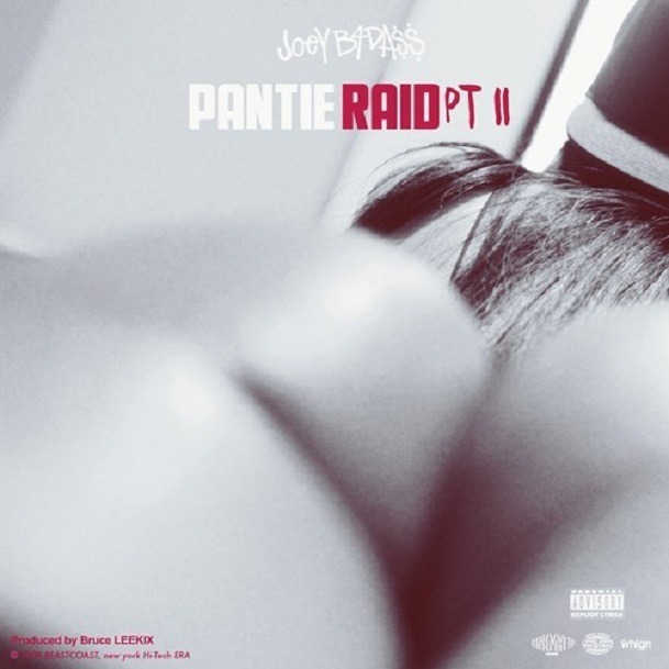 Pantie Raid Pt. II