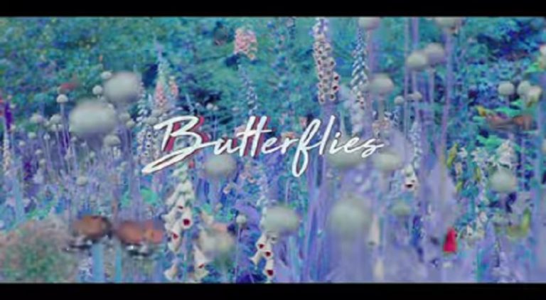 Queen Naija returns with her music video for "Butterflies, Pt. 2," her new single.