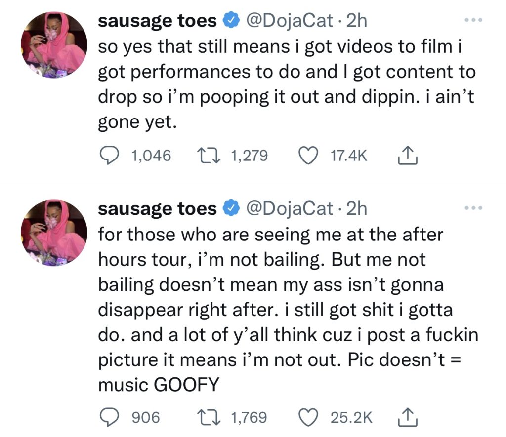 Doja Cat doubles down on wanting to retire from music
