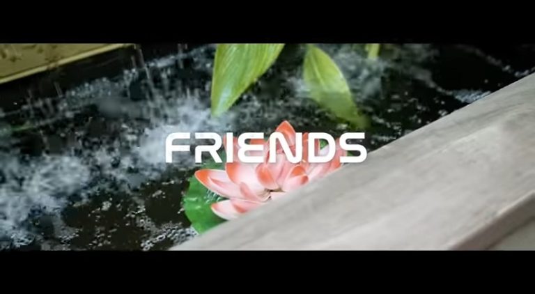 Domani teams up with Nasty C for Friends single and video
