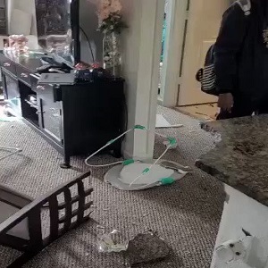 Twelve year old boy destroys home after his mother took his phone