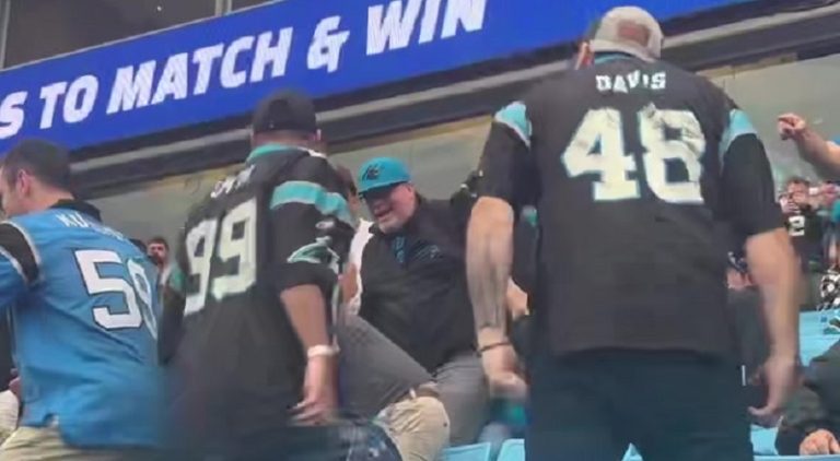 Fight breaks out between Carolina Panthers' fans during game
