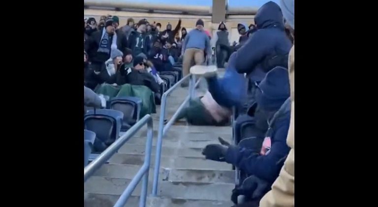 Green Bay Packers' fan thrown from the upper levels of the stadium