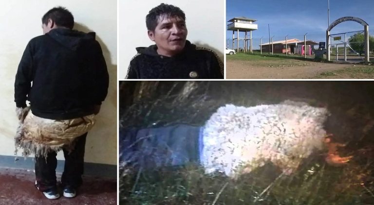 Man disguises himself as a sheep in an attempt to avoid prison