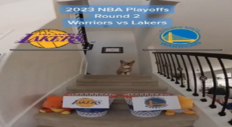 Dog predicts Warriors playoff series win over Lakers in Game 7