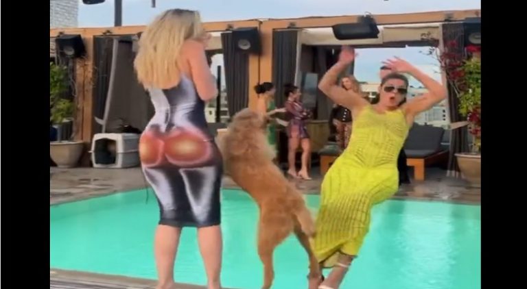 Dog runs into a woman and pushes her into the pool