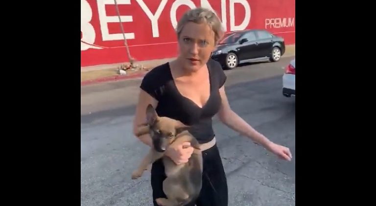 Woman angrily throws her puppy at a random guy