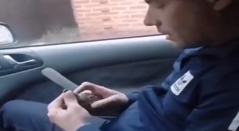 Man pulls pin out of a grenade while sitting inside a car