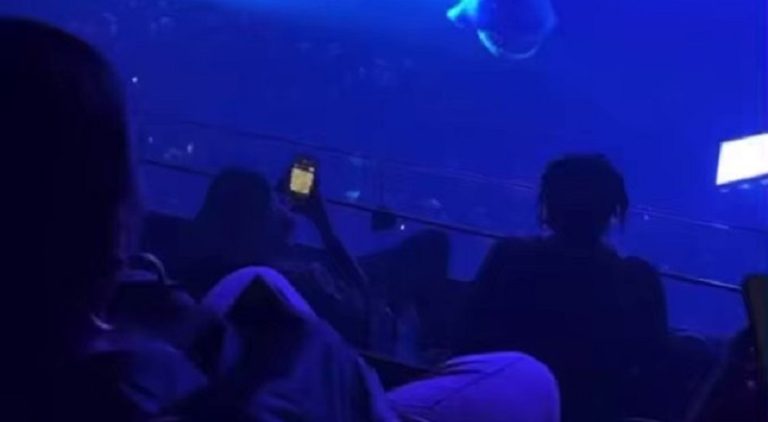 Derrick Rose spotted playing chess at Drake's concert