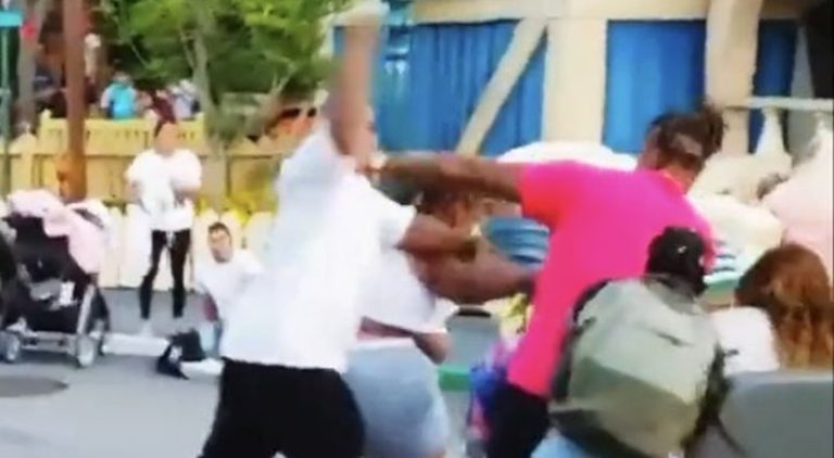 Grown man fights two women at Disneyland in front of children