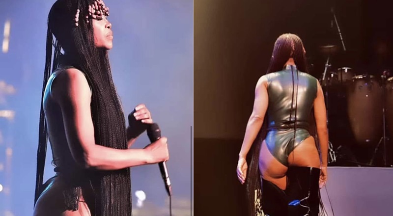 Erykah Badu goes viral for her back side at recent concert