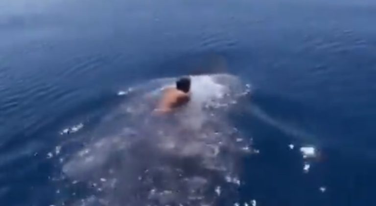 Fisherman jumps from a boat to ride a whale's back