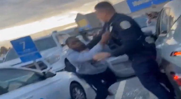 Man fights police officer in Walmart parking lot