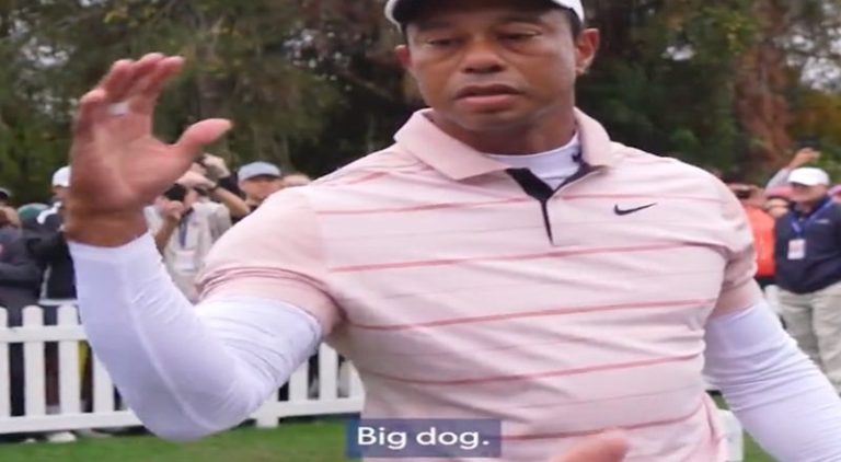 Tiger Woods trends for giving handshake and saying big dog